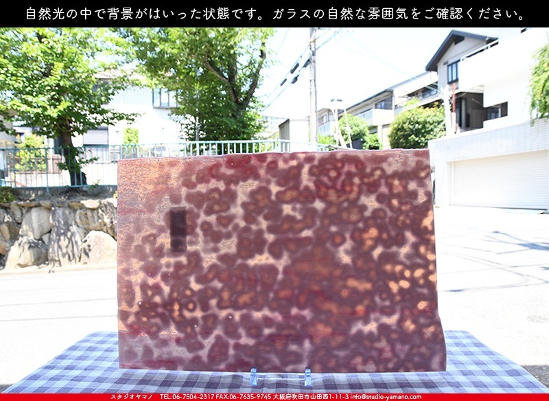 �䥫���ˡ�_UG_3007-RG_E_702202200097_�̿���1/2�����ܥ�����_30cm��22cm