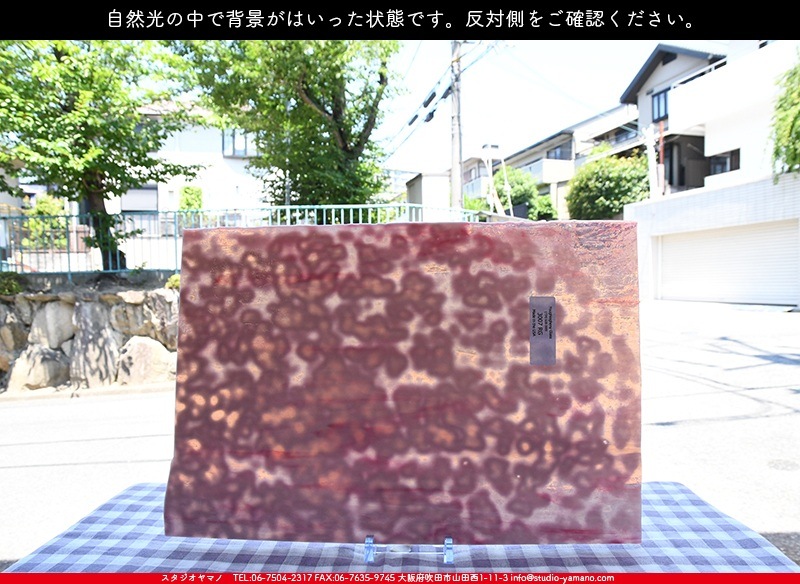 �䥫���ˡ�_UG_3007-RG_E_702202200097_�̿���1/2�����ܥ�����_30cm��22cm