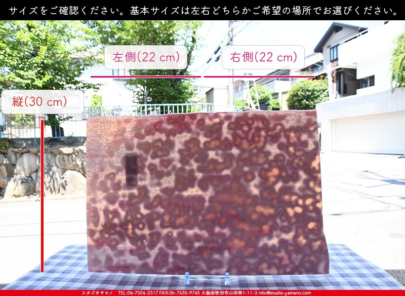 �䥫���ˡ�_UG_3007-RG_E_702202200097_�̿���1/2�����ܥ�����_30cm��22cm