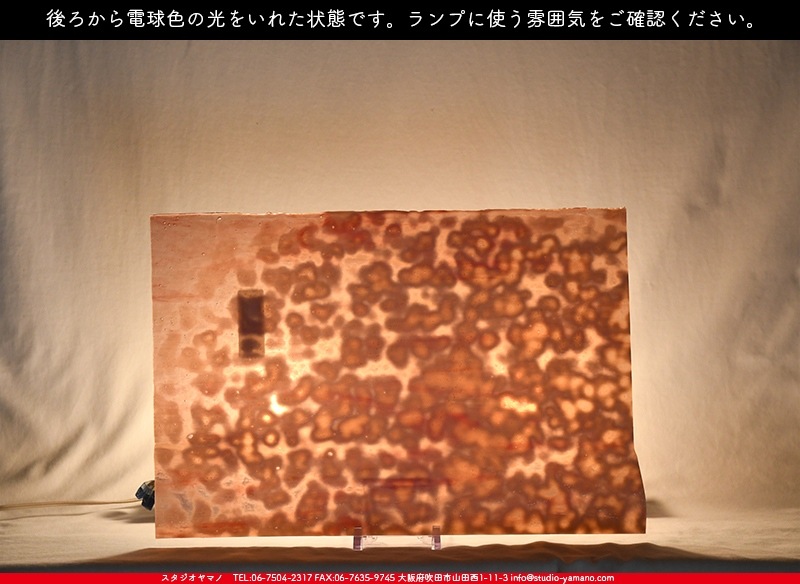 �䥫���ˡ�_UG_3007-RG_E_702202200097_�̿���1/2�����ܥ�����_30cm��22cm