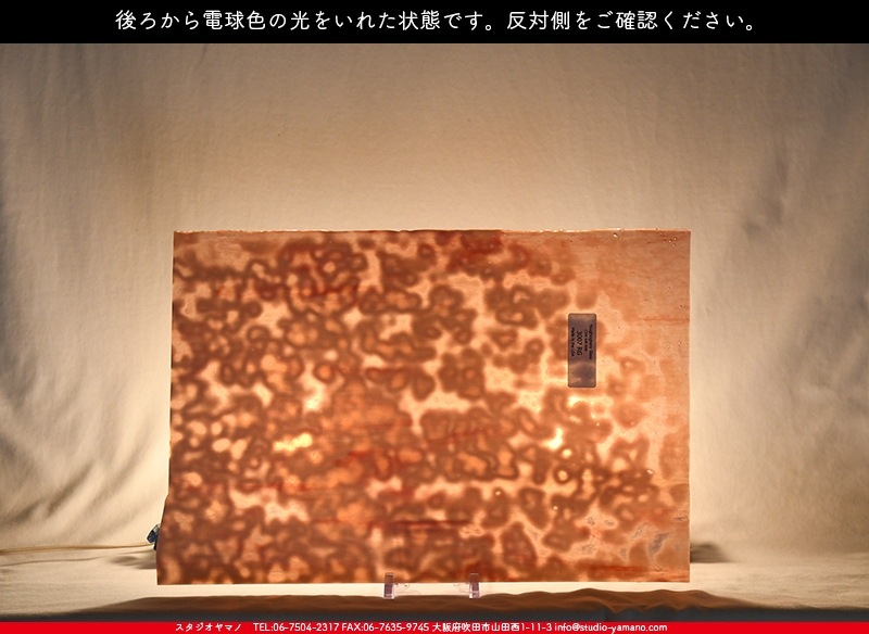 �䥫���ˡ�_UG_3007-RG_E_702202200097_�̿���1/2�����ܥ�����_30cm��22cm