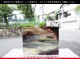 ������_K_94_C_734202200342_�̿���1/2�����ܥ�����_26cm��17cm