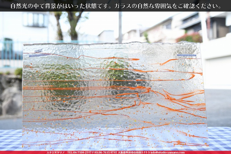 �֥륶��_BU_4211-0000_BU_E_719201108-01_�̿��ϸ���