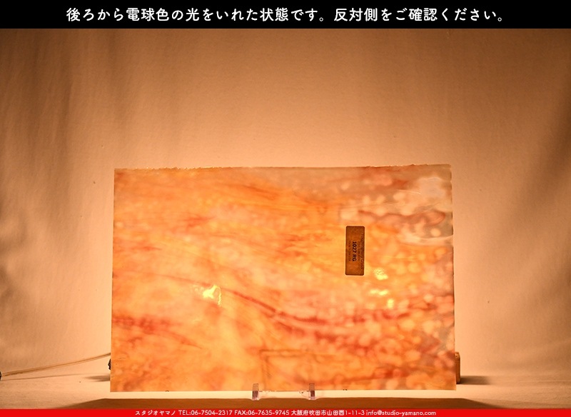 �䥫���ˡ�_UG_1027-RG_E_702202300012_�̿���1/2�����ܥ�����_30cm��22cm