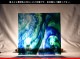 ������_K_142LL_C_734202200420_�̿���1/4�����ܥ�����_20cm��20cm
