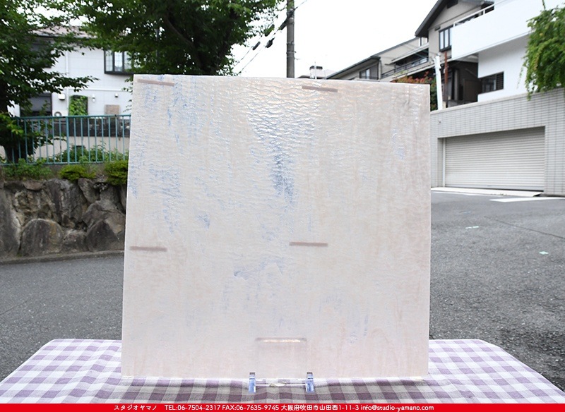 ������_K_880SPL G_D_734202200213_�̿���1/4�����ܥ�����_20cm��20cm