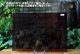 ��������󥰥饹������_OGT_142W_D_77700000142W_�̿��ϸ���_25cm��10cm
