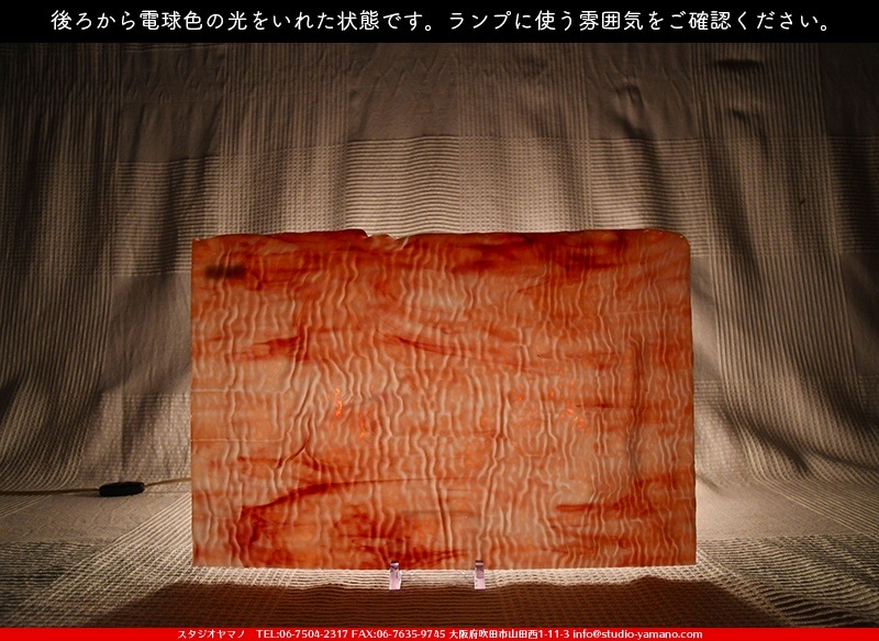 �䥫���ˡ�_UG_1007-RGR_H_702202000039_�̿���1/2�����ܥ�����_30cm��22cm