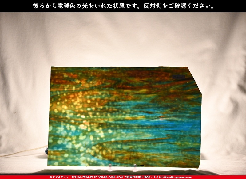 ヤカゲニー_UG_6642-RG_A_702202200024_写真の1/2が基本サイズ_30cm