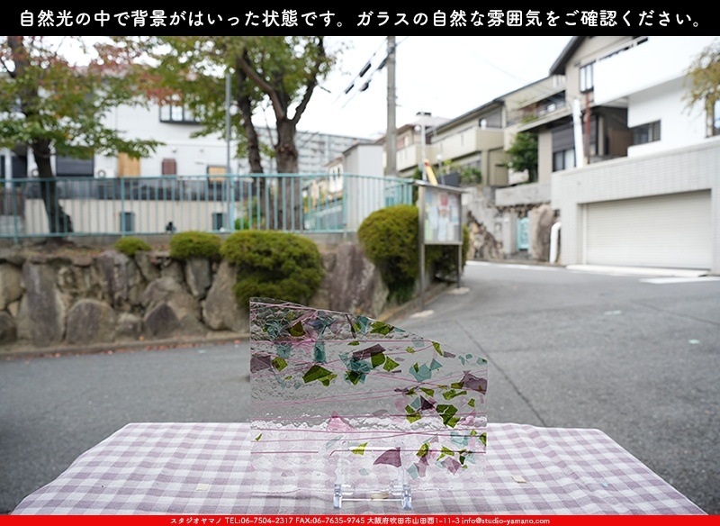 �֥륶��_BU_4128-0000_BU_E_719202300053_�̿������Τ����ܥ�����_20cm��25cm