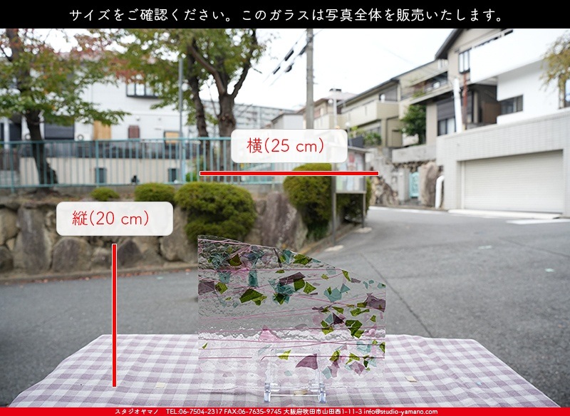 �֥륶��_BU_4128-0000_BU_E_719202300053_�̿������Τ����ܥ�����_20cm��25cm