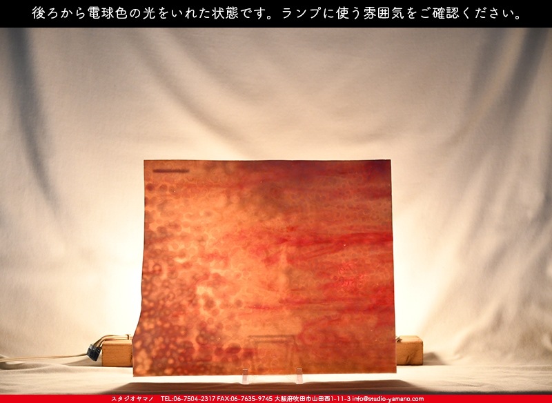 �䥫���ˡ�_UG_3007-RG_E_702202200058_�̿������Τ����ܥ�����_30cm��35cm