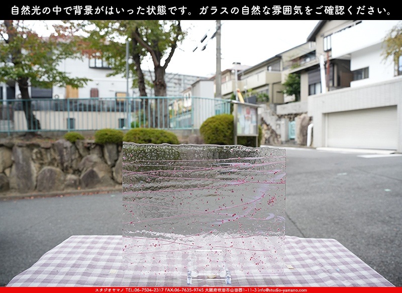 �֥륶��_BU_4215-0000_BU_E_719202300058_�̿������Τ����ܥ�����_25cm��30cm