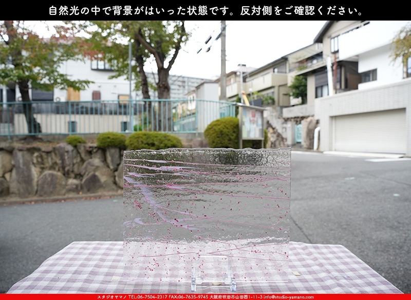 �֥륶��_BU_4215-0000_BU_E_719202300058_�̿������Τ����ܥ�����_25cm��30cm