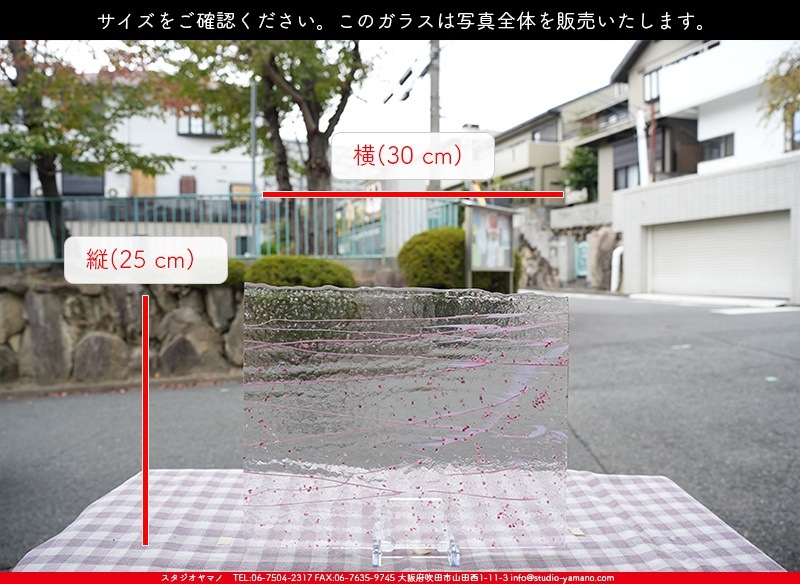 �֥륶��_BU_4215-0000_BU_E_719202300058_�̿������Τ����ܥ�����_25cm��30cm