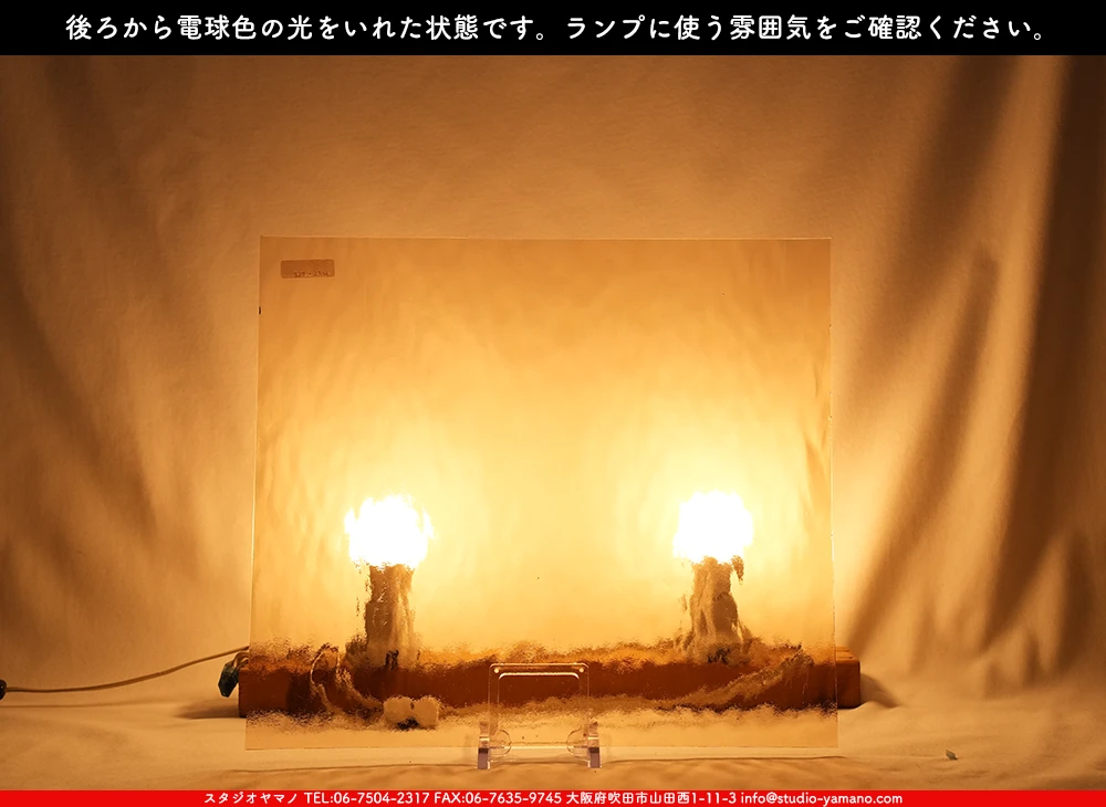 �������ޡ���_W_568 AQL_C_707202500087_�̿���1/2�����ܥ�����_35cm��20cm