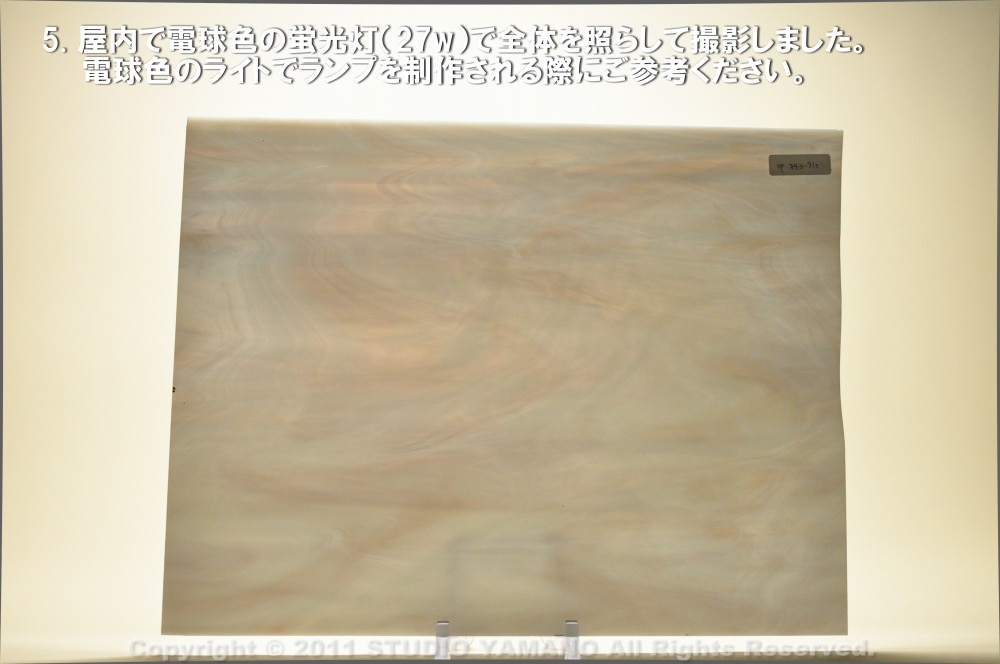 ��������󥰥饹������_OGT_84371S_E_77700084371S_�̿��ϸ���_30cm��10cm