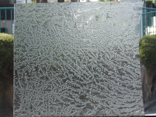 GL_005_���ꥢ�Υ��롼���å�_(20cm��30cm)