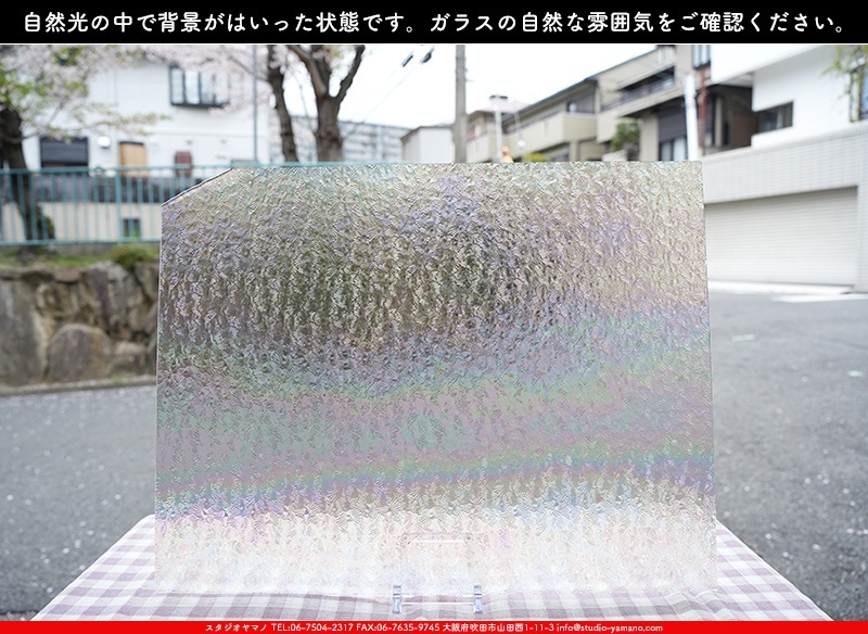 ޡ_W_IR01 FLO_E_707202400033_̿1/4ܥ_20cm26cm