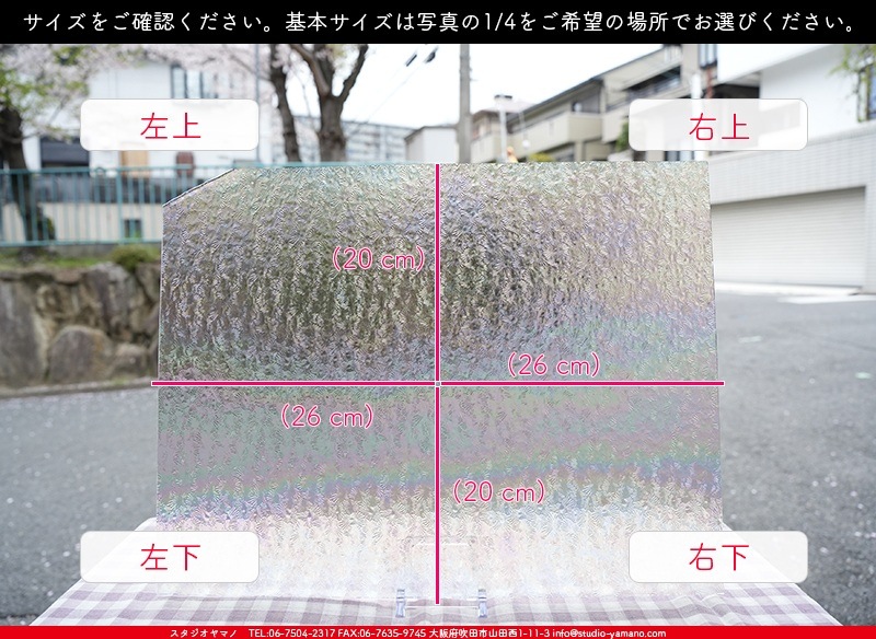 ޡ_W_IR01 FLO_E_707202400033_̿1/4ܥ_20cm26cm