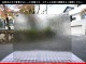 �������ޡ���_W_4911(EM555) EM_C_707202200451_�̿���1/4�����ܥ�����_20cm��26cm