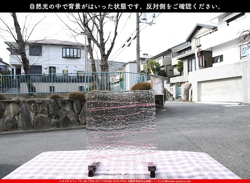 �֥륶��_BU_4215-0000_BU_G1_719202300013_�̿������Τ����ܥ�����_25cm��22cm