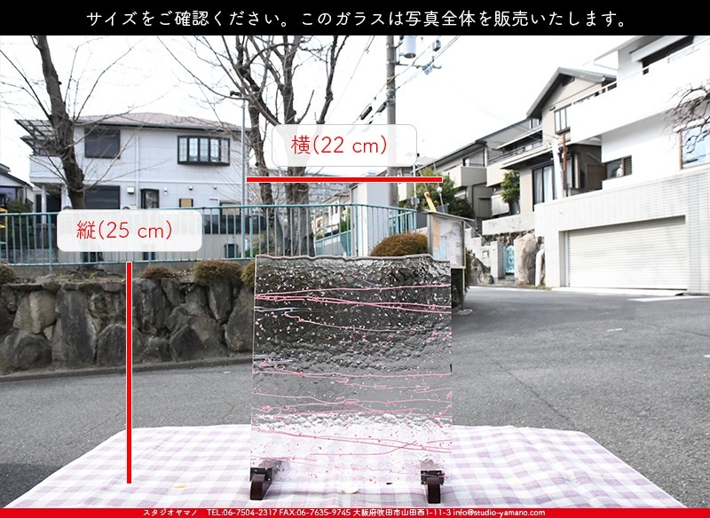 �֥륶��_BU_4215-0000_BU_G1_719202300013_�̿������Τ����ܥ�����_25cm��22cm