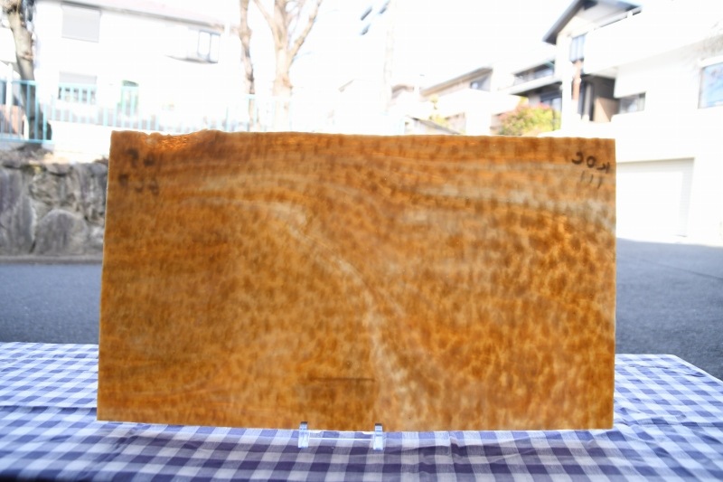 �߸˽�ʬ�Τ���30%���_�̿��α�¦_������_K_145 GCP(KOC111)_N_734180201028_�̿���1/3�����ܥ�����_30cm��17cm