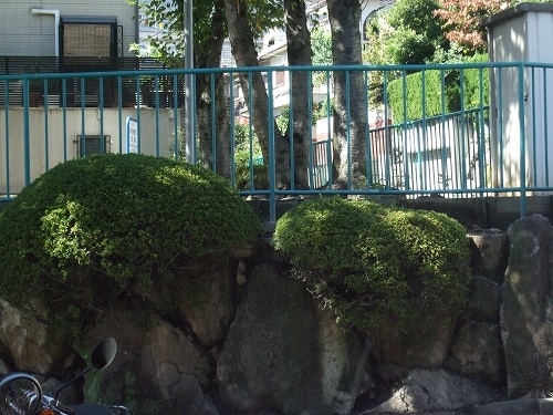 DN_5640_���饹���꡼��Υ����ƥ�����_3mm_(18cm��20cm)