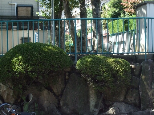 DN_7172_����С��Υ����ƥ�����_3mm_(18cm��20cm)