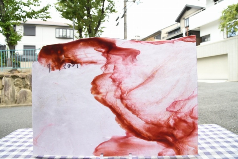 �䥫���ˡ�_UG_N057-SP_H_702201800177_�̿���1/2�����ܥ�����_30cm��22cm