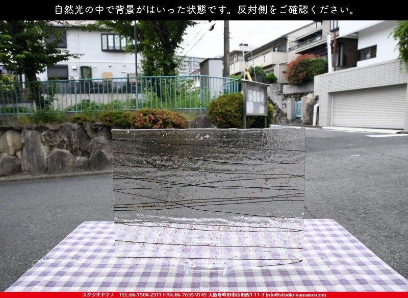 �֥륶��_BU_4214-0000_BU_E_719202100073_�̿���1/2�����ܥ�����_25cm��18cm