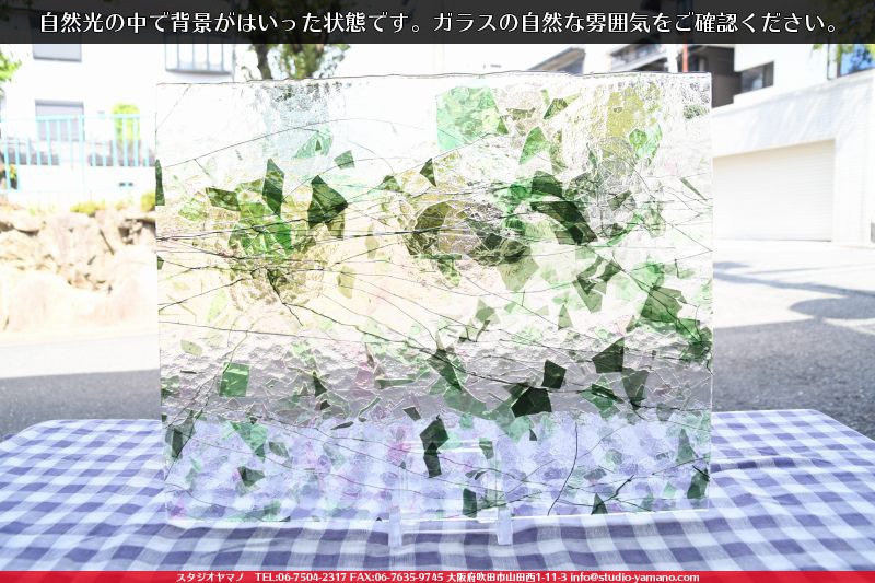 ����ܥ���_UR_11-29_H_701201800025_�̿��ϸ���