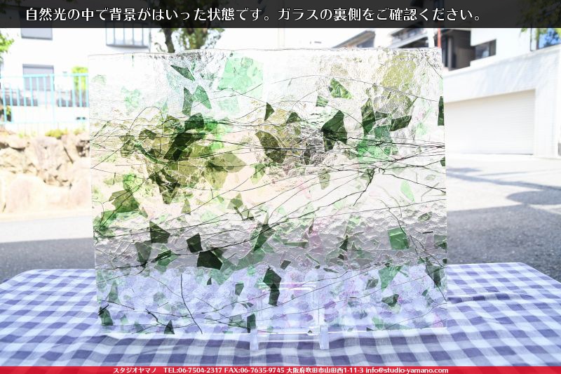 ����ܥ���_UR_11-29_H_701201800025_�̿��ϸ���