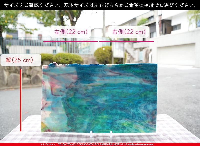 ブルザイ_BU_6446-0000_BU_G1_719202400024_写真の1/2が基本サイズ_