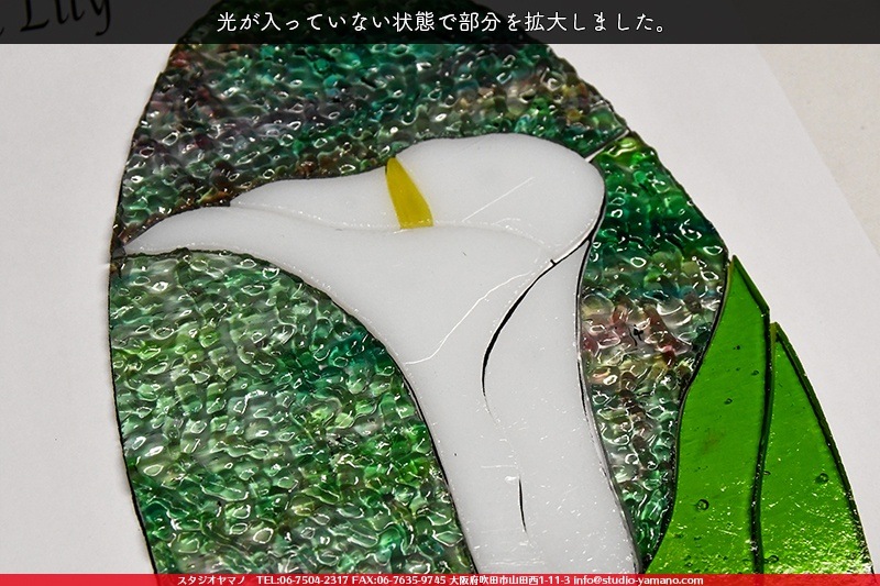 ���å�_�ѥͥ�_CallaLily�֥��顼��_25.5cm��13.5cm_12�ԡ���120000000005