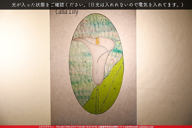 ���å�_�ѥͥ�_CallaLily�֥��顼��_25.5cm��13.5cm_12�ԡ���120000000005