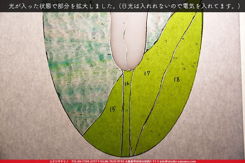 ���å�_�ѥͥ�_CallaLily�֥��顼��_25.5cm��13.5cm_12�ԡ���120000000005