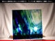 ������_K_142LL_C_734202300156_�̿���1/4�����ܥ�����_20cm��20cm