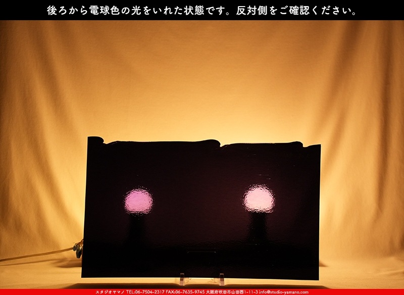 �֥륶��_BU_1128-0030_BUF_B_719202400032_�̿���1/2�����ܥ�����_25cm��22cm