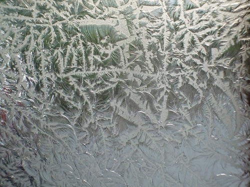 GL_001_���ꥢ�Υ��롼���å�_(20cm��30cm)