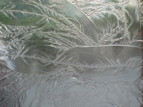 GL_005_���ꥢ�Υ��롼���å�_(20cm��30cm)