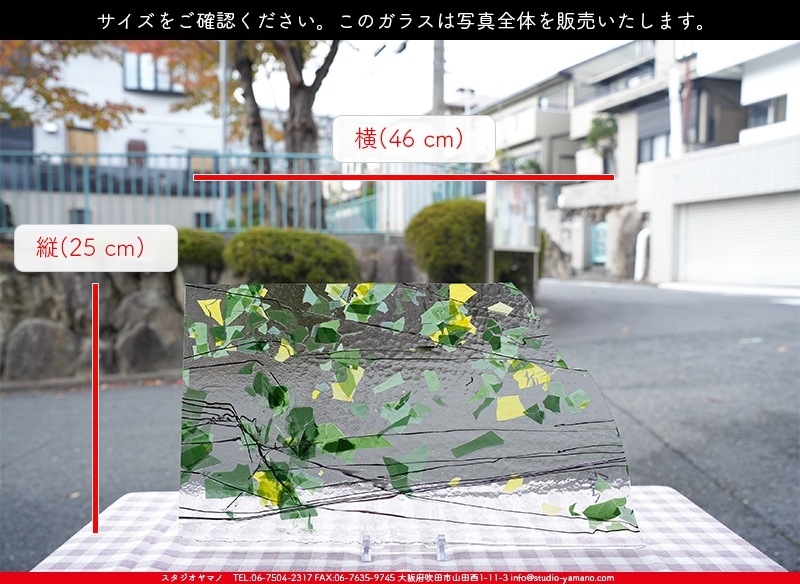 �֥륶��_BU_4112-0000_BU_E_719202300083_�̿������Τ����ܥ�����_25cm��46cm