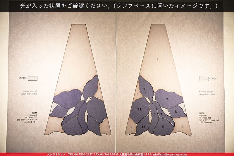 ���å�_���ץ�������_Cattleya�֥��ȥ쥢��_33�ѡ�_72�ԡ���120000000008