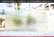 �֥륶��_BU_4217-0000_BU_E_719201112-08_�̿���1/2�����ܥ�����_25cm��22cm