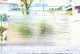 �֥륶��_BU_4217-0000_BU_E_719201112-08_�̿���1/2�����ܥ�����_25cm��22cm
