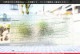 �֥륶��_BU_4217-0000_BU_E_719201112-08_�̿���1/2�����ܥ�����_25cm��22cm