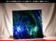 ������_K_142LL WAV_CX_734202300161_�̿���1/4�����ܥ�����_20cm��20cm