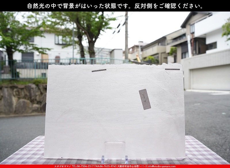 �䥫���ˡ�_UG_7000-SP_H_702202400009_�̿���1/2�����ܥ�����_30cm��22cm