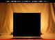 �������ޡ���_W_IR90-02 DR_C_707202300160_�̿���1/4�����ܥ�����_17cm��20cm